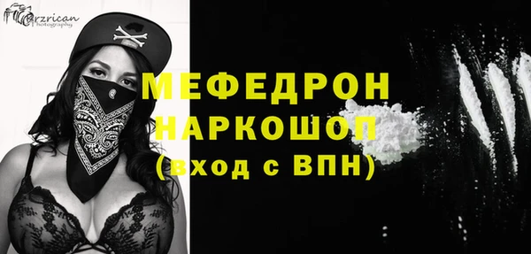 МДПВ Инсар