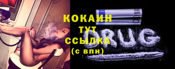 МДПВ Инсар