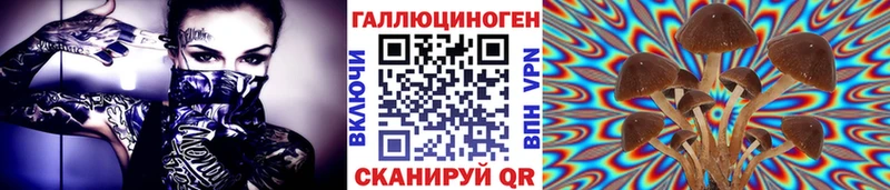 Псилоцибиновые грибы мицелий  Котовск 